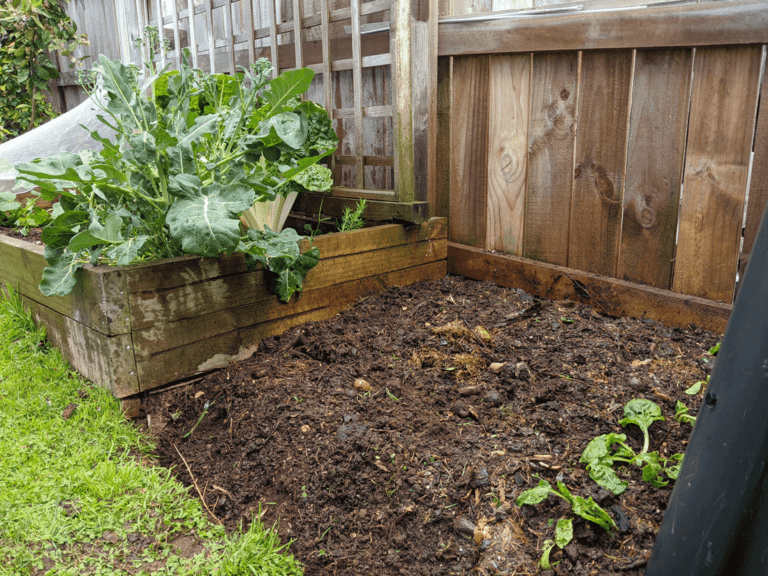 How to Make the Best Compost for Growing Vegetables The Potager Project