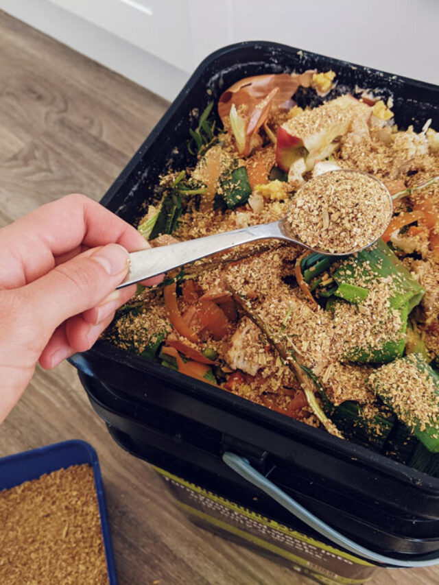 Bokashi vs Compost: 7 Reasons that will make you Convert