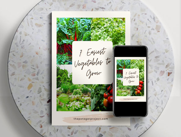 ebook 7 of the easiest vegetables to grow