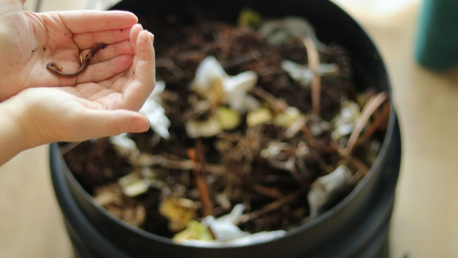 Discover the Best Worms for Composting + Find Out Where to Buy The