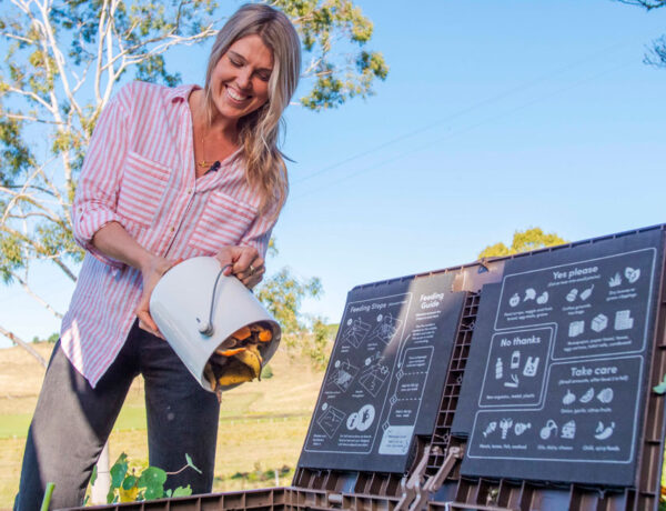 worm farming can be enjoyable. we look at the best worm composting bins like this one by subpod