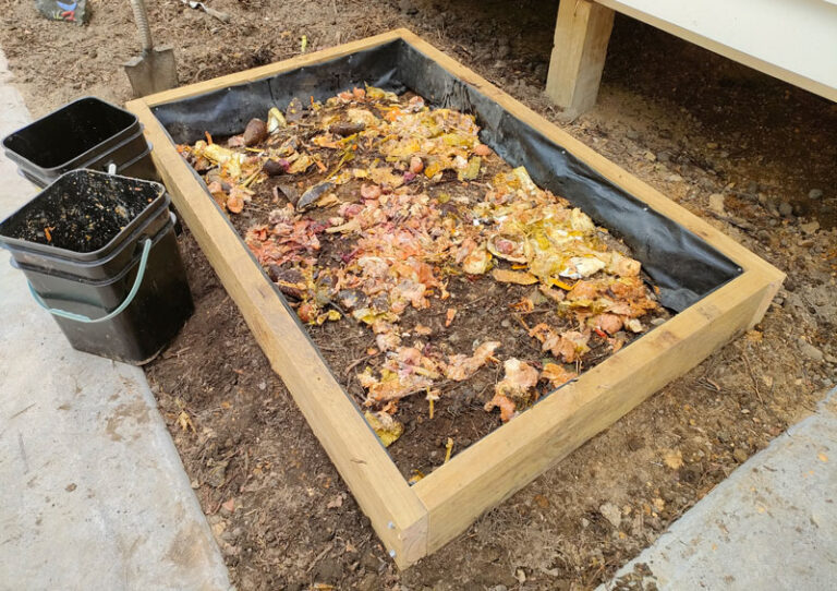 What Can Go in a Bokashi Bin vs What Not to Put in Bokashi The