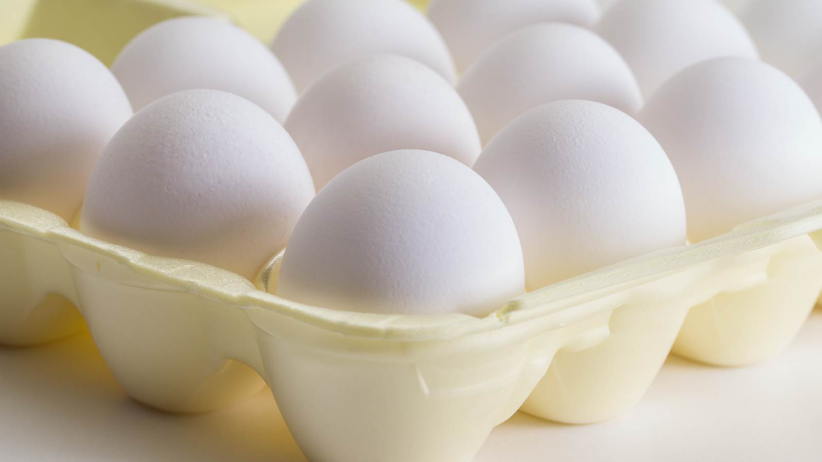 Composting Egg Cartons How to Turn Waste into Garden Gold The