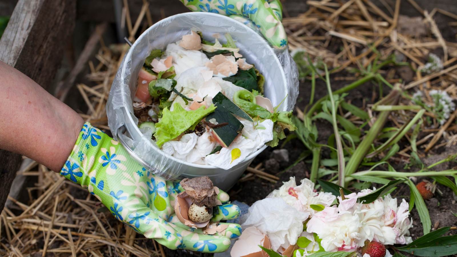 Composting Egg Cartons How to Turn Waste into Garden Gold The