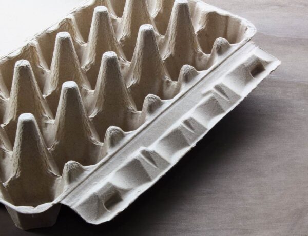 Image of empty egg carton in this helpful guide to composting egg cartons.
