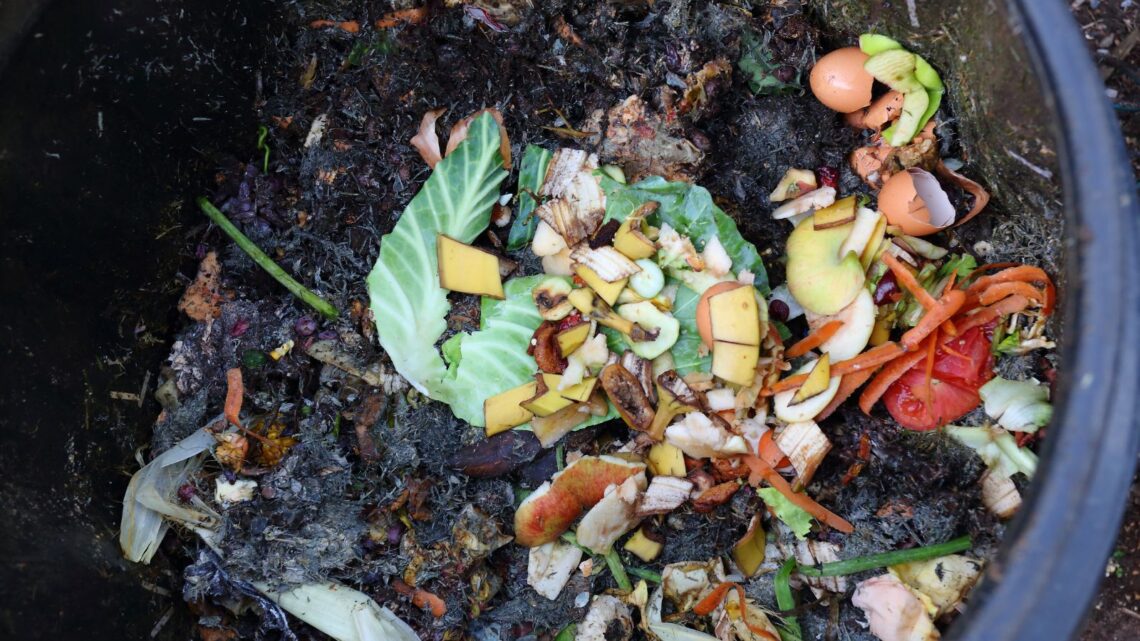 View of Image result for Composting in Tight Quarters