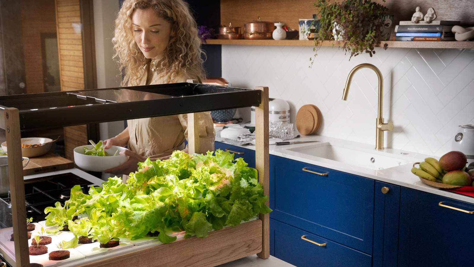 Best How-to Guide to Gardening in an Apartment