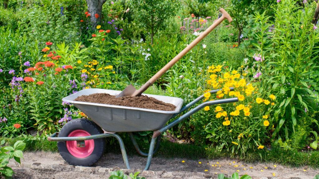 One of the benefits of composting is a thriving garden
