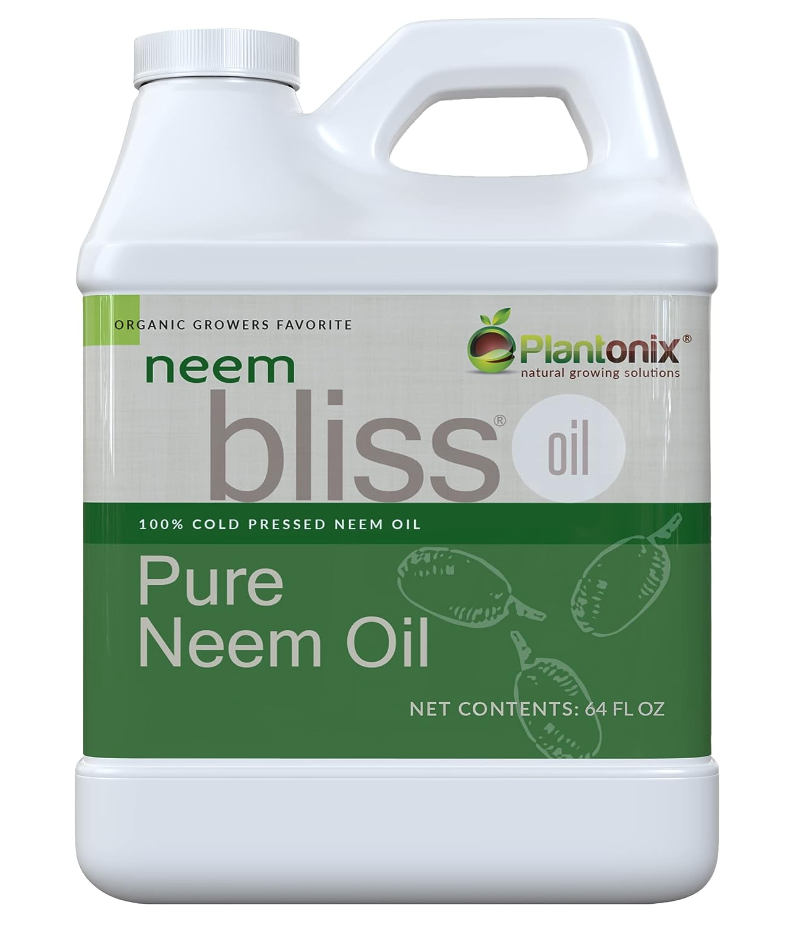 Organic neem oil is great when looking at how to get rid of white mites