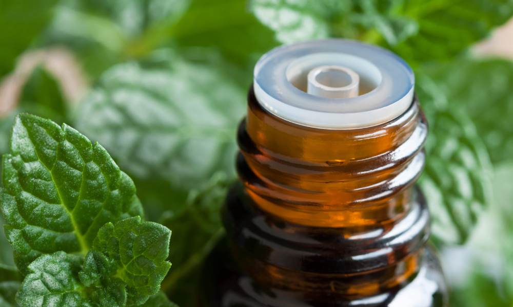 peppermint oil to get rid of white mites