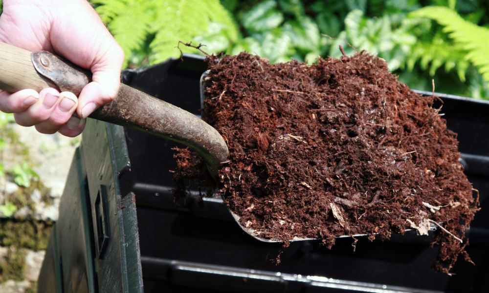 backyard compost bin garden, compost for garden, how to start a no dig garden, no dig gardening for beginners