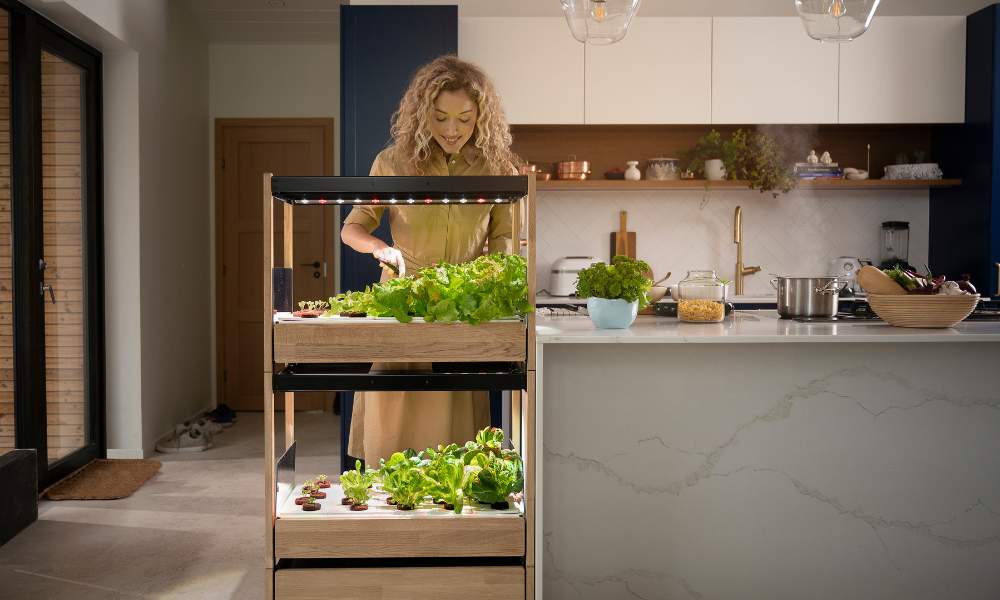 Top Tips for Gardening in an Apartment Without a Balcony